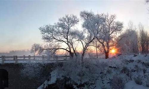 鹤岗天气_鹤岗天气预报7天天气